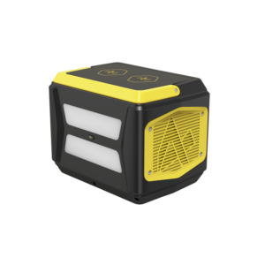 Blackbee1000 1